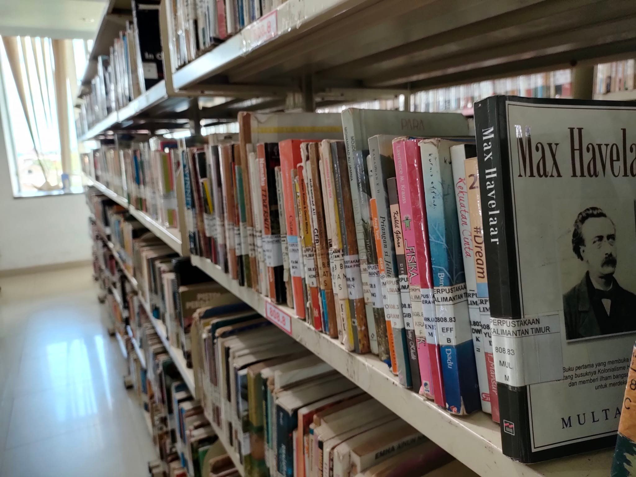 Ilustrasi Perpustakaan