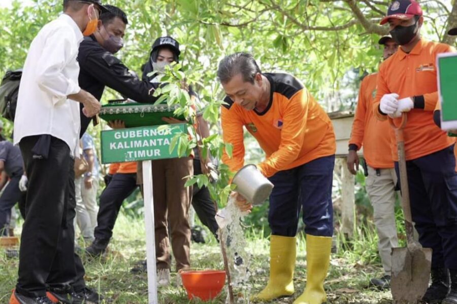 Wakil Gubernu Kaltim Hadi Mulyadi mengikuti kegiatan penanaman pohon dan pengukuhan Forum PRB Kaltim