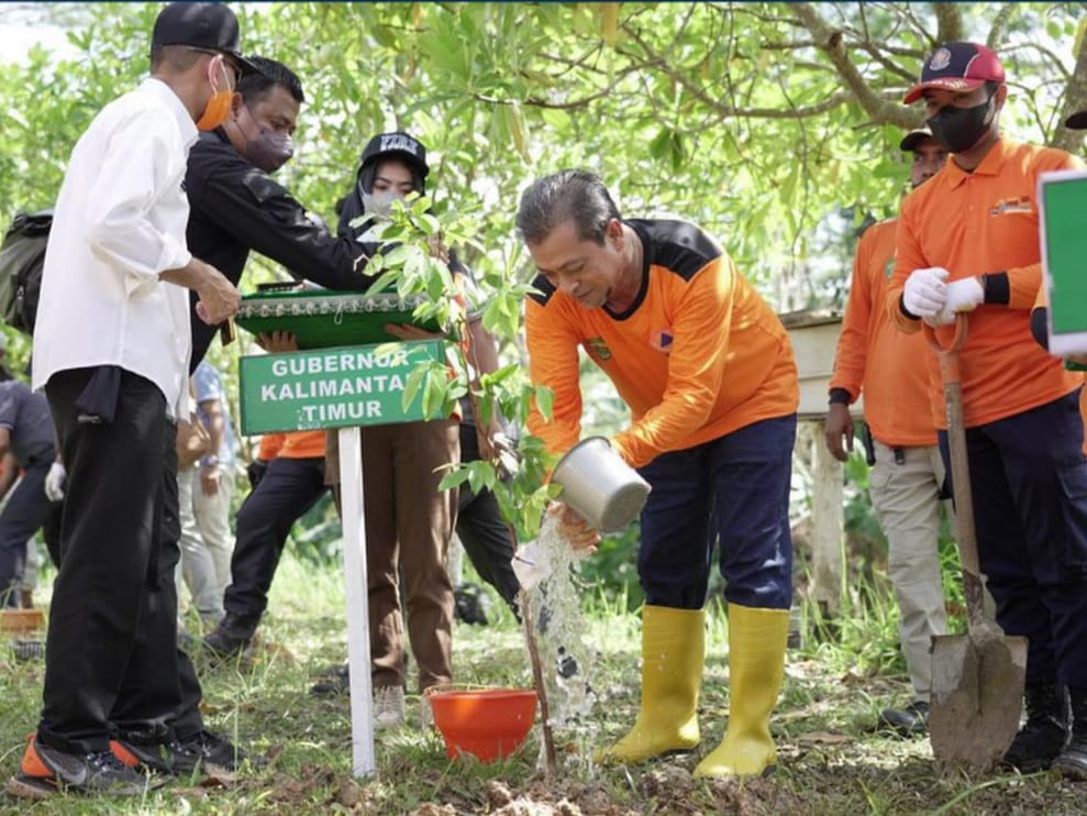 Wakil Gubernu Kaltim Hadi Mulyadi mengikuti kegiatan penanaman pohon dan pengukuhan Forum PRB Kaltim