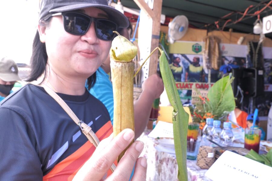 Pengunjung mencicipi Puding Kantong Semar khas Mahakam Ulu