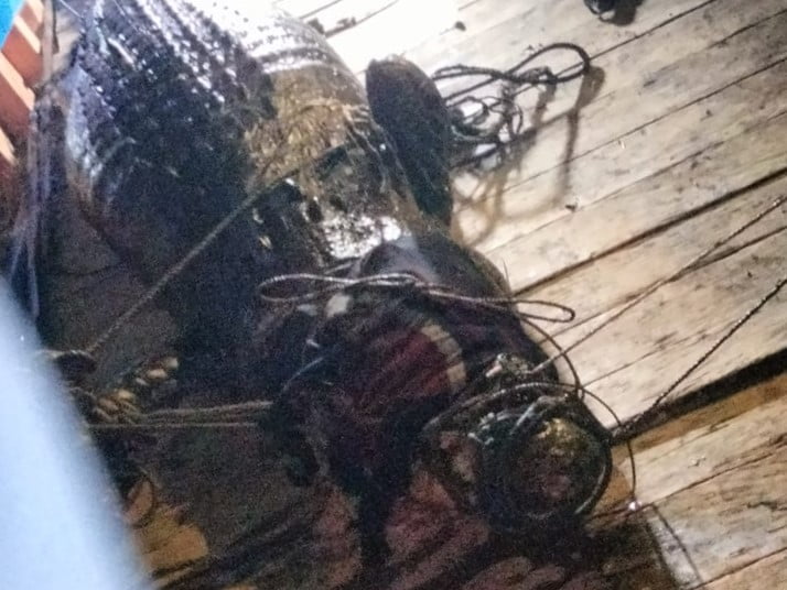Sublik, lelaku asal Kutai Timur yang menghilang entah ke mana ternyata ditemukan tewas diterkam buaya. (dok. SAR)