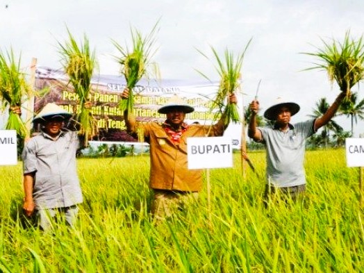 Kelurahan Maluhu, Tenggarong, Kutai Kartanegara bakal melakukan pengembangan sektor pertanian (ist)