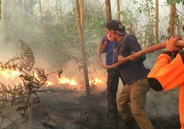Sekda Kukar Pastikan Situasi Karhutla Masih Terkendali