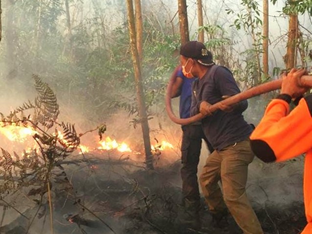 Ilustrasi Penanganan Kebakaran Hutan dan Lahan (Karhutla) di Kutai Kartanegara (Ist)