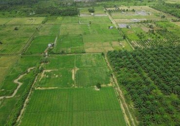 Desa Manunggal  Kukar Jaya Bangun Infrastruktur Pertanian