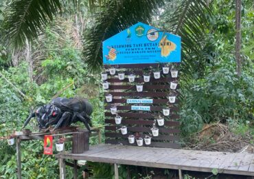 Madu Kelulut Desa Teluk Dalam, Kades Supian Harap Jadi Pusat Ekonomi