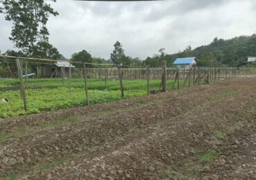 Desa Tani Bhakti Jadi Pionir Agrowisata Berkelanjutan di Kutai Kartanegara