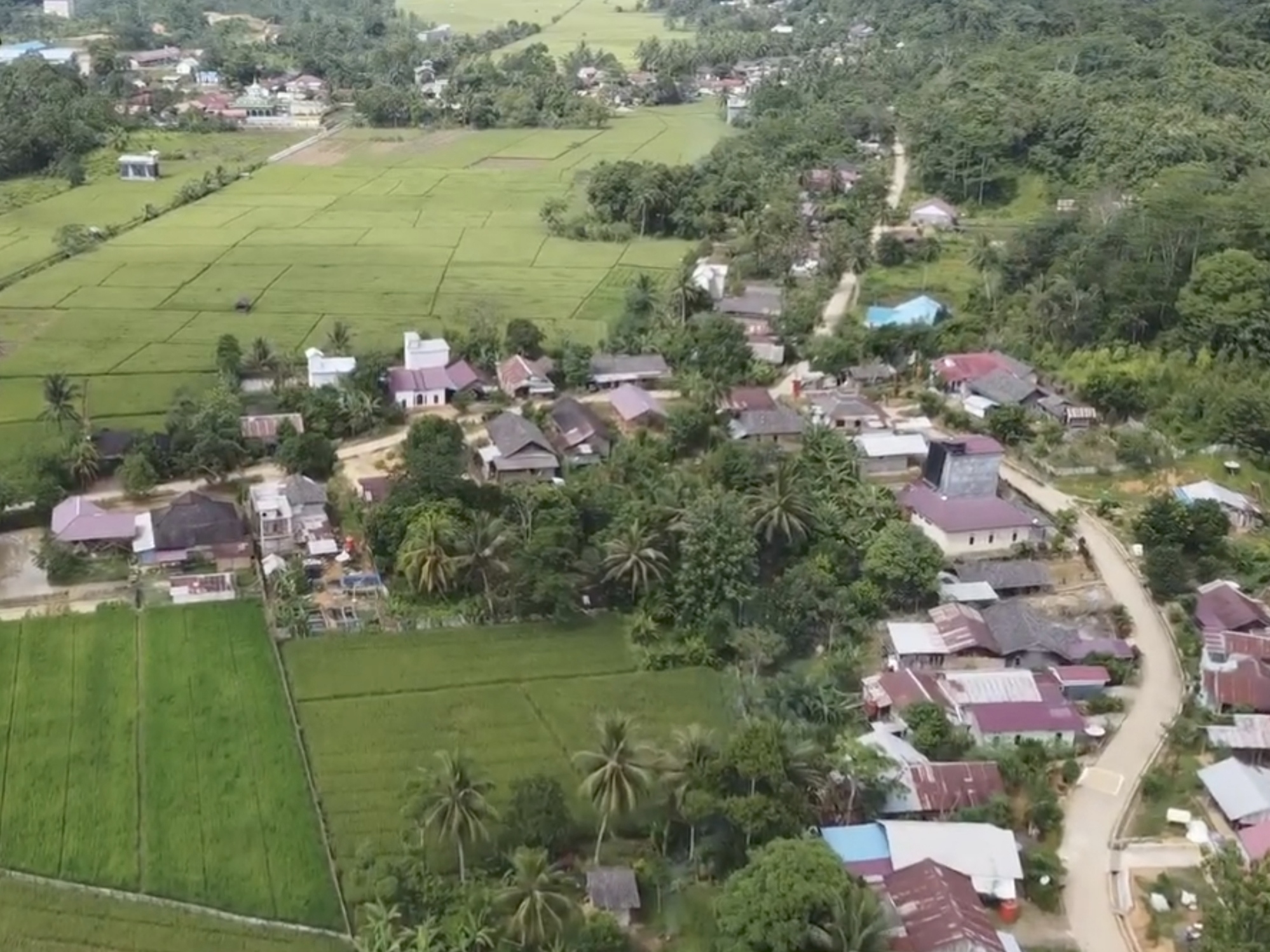 Lanskap pertanian di wilayah Kecamatan Tenggarong Seberang, Kutai Kartanegara. (Foto/ist)