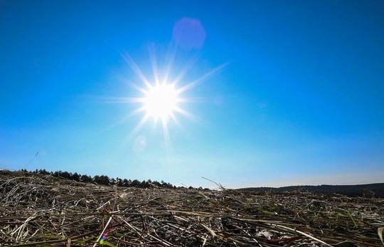 Ilustrasi musim kemarau di wilayah Kaltim diperkirakan berlangsung singkat.