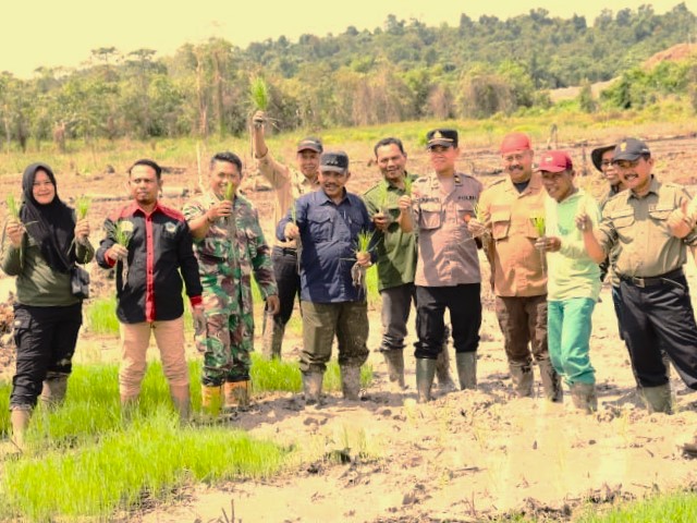 Desa Mulawarman Tanam Perdana Padi di Lahan Baru 400 Hektare. (ist)