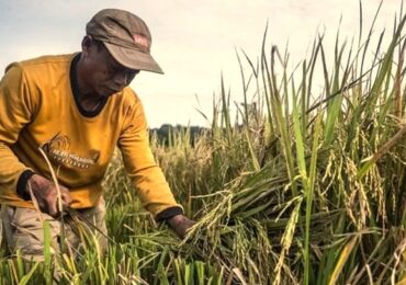 Petani Sebulu Ubah Lahan Tidut Jadi Sumber Pendapatan