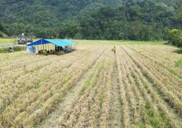 Hadapi Krisis Air, Desa Segihan Bangun Irigasi Mandiri Dukung Pertanian Berkelanjutan