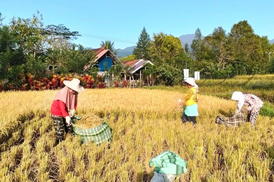 Kepala Desa Loa Raya, Martin.
