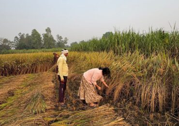 Desa Suka Maju Fokus Kembangkan Pertanian, Siapkan Pembangunan Embung untuk Irigasi Petani