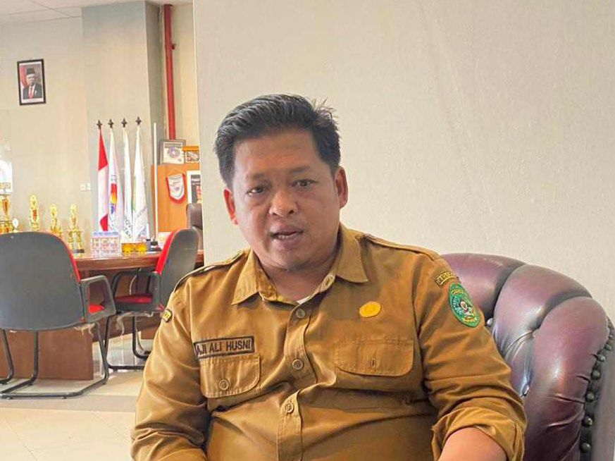 Kepala Dispora Kukar, Aji Ali Husni