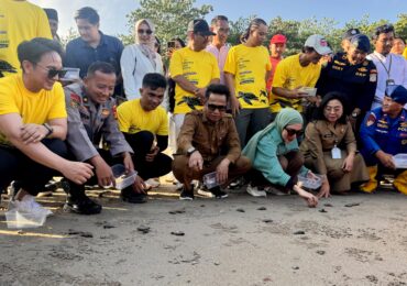 Peringati Hari Lingkungan Hidup, 80 Tukik Penyu Lekang Dilepas di Pantai DEB Balikpapan