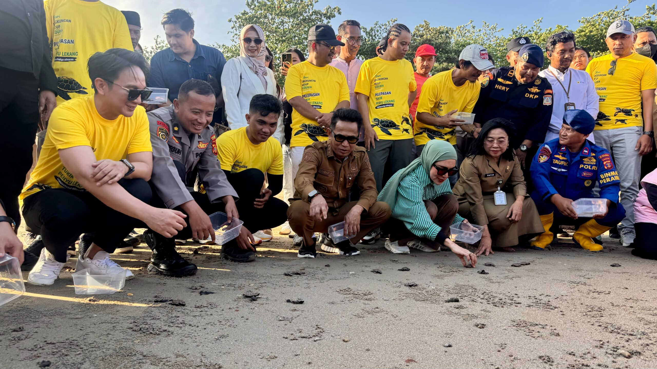 Peringati Hari Lingkungan Hidup, 80 Tukik Penyu Lekang Dilepas di Pantai DEB Balikpapan