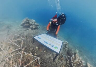 Kadis Par Kaltim Tanam Terumbu Karang di Pulau Miang demi Generasi Masa Depan