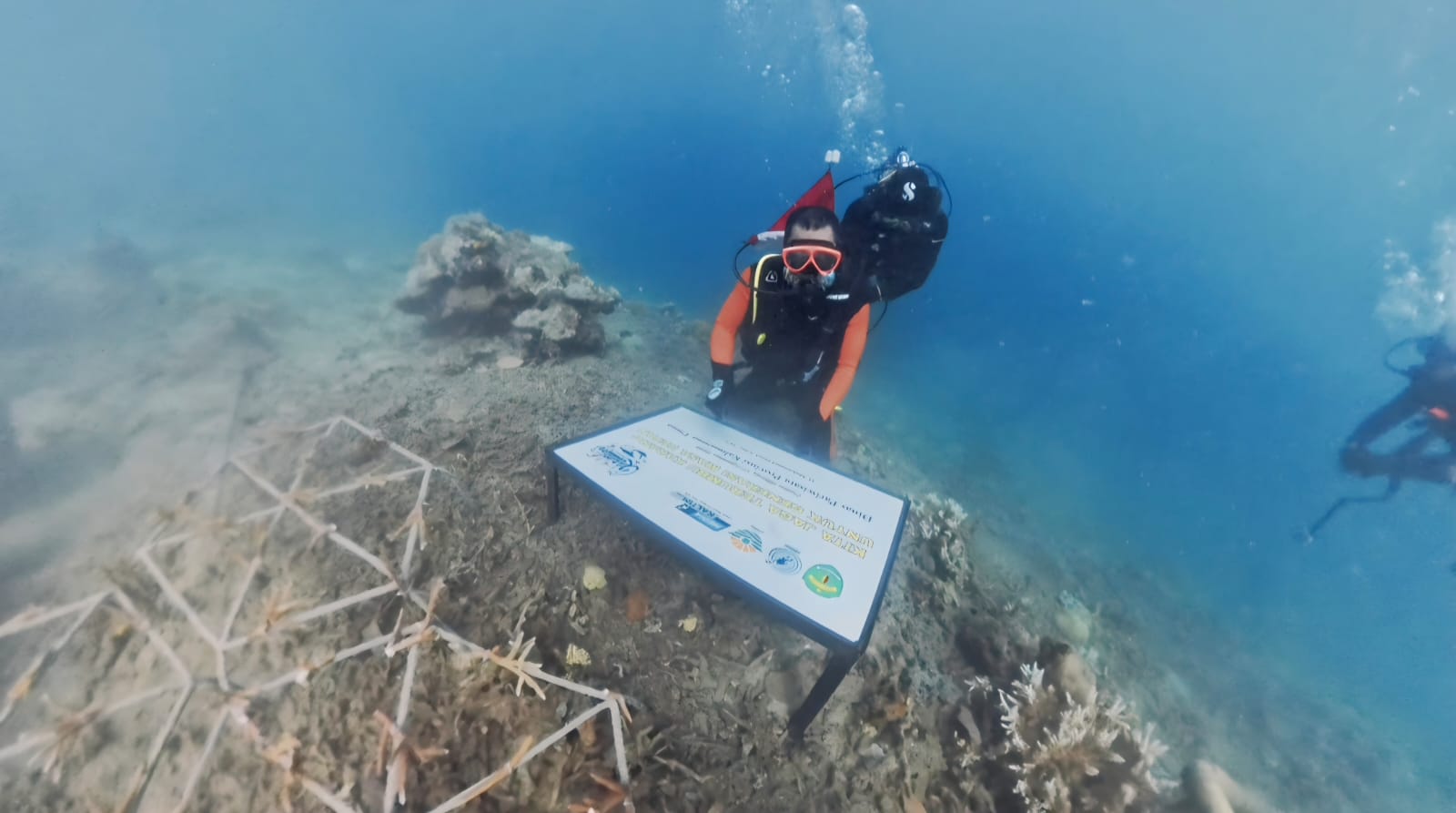 Kadis Par Kaltim Tanam Terumbu Karang di Pulau Miang demi Generasi Masa Depan