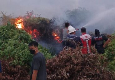 Kebakaran 10 Hektar Semak Belukar Merambat ke Jalan Adisucipto, Jasno Imbau Warga Stop Bakar Lahan