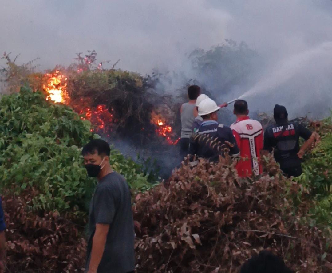Kebakaran 10 Hektar Semak Belukar Merambat ke Jalan Adisucipto, Jasno Imbau Warga Stop Bakar Lahan